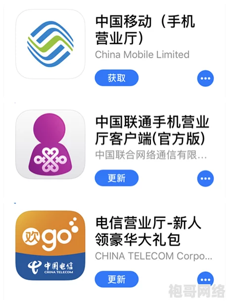 禁用软件App下载安装入口加强管理维护网络安全秩序保障绿色健康网络环境