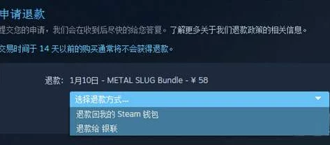 2025年Steam退款条件最新解读：全面一览及热门问题解答