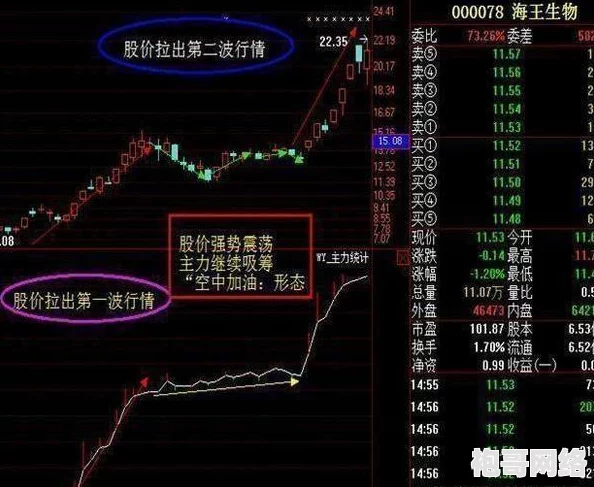 绝区零安东伊万诺夫强度解析：使用技巧与实战分析