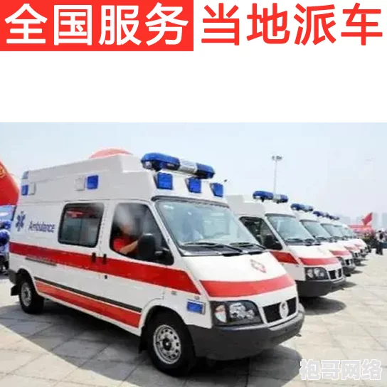 如何在GTA5中轻松掌握开启救护车紧急警报的实用技巧