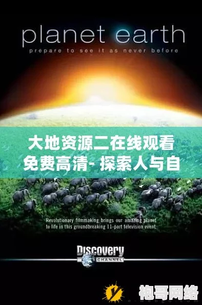 大地资源高清播放在线观看：了解自然资源的多样性与生态系统的重要性，探讨人类对环境的影响与可持续发展策略