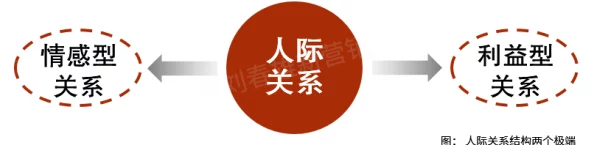 东子白洁：探讨现代社会中个体情感与道德选择的复杂关系及其对人际交往的影响分析