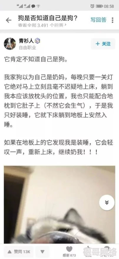 坤坤对桃子流出牛奶，引发网友热议，背后真相令人震惊，究竟发生了什么？