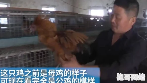 男生的鸡鸡视频引发热议，网友们纷纷讨论其背后的社会现象与性教育问题，关注度持续攀升！