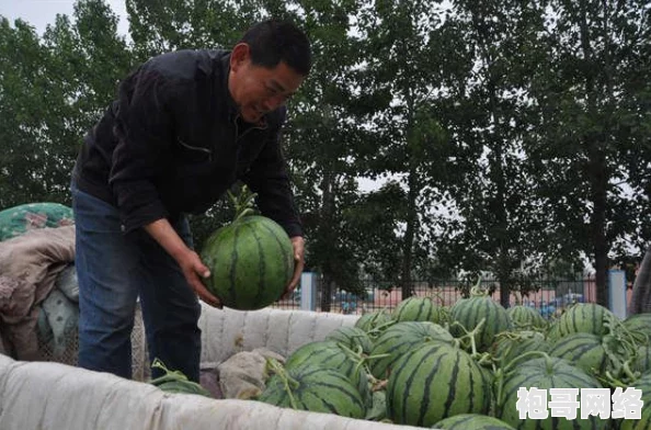 17吃瓜在线今日吃瓜：网络热议事件背后的真相与公众反应分析