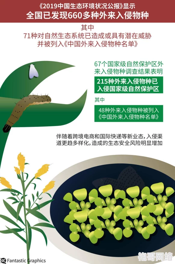 过度开发pop金银花引发生态危机，专家呼吁加强保护措施以维护生物多样性和可持续发展