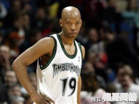 九一免费版网站NBA下载安装：网友热议这款应用的使用体验与功能，是否值得下载？